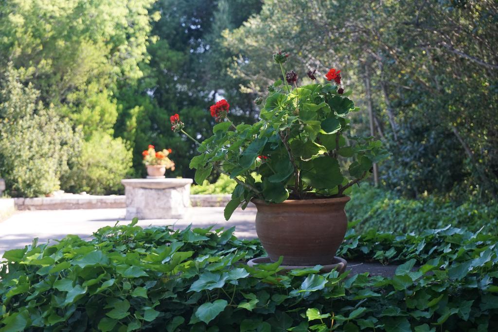 Finca Son Vivot エクステリア 写真